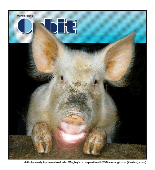 This little piggy has a clean mouth.