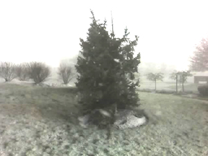 snow!