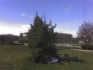 snow!