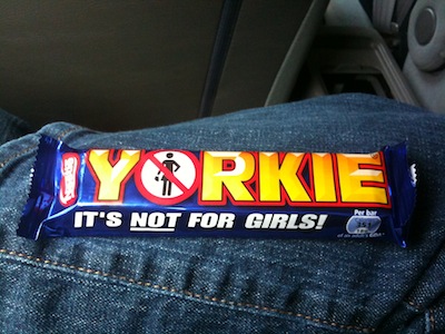 Yorkie