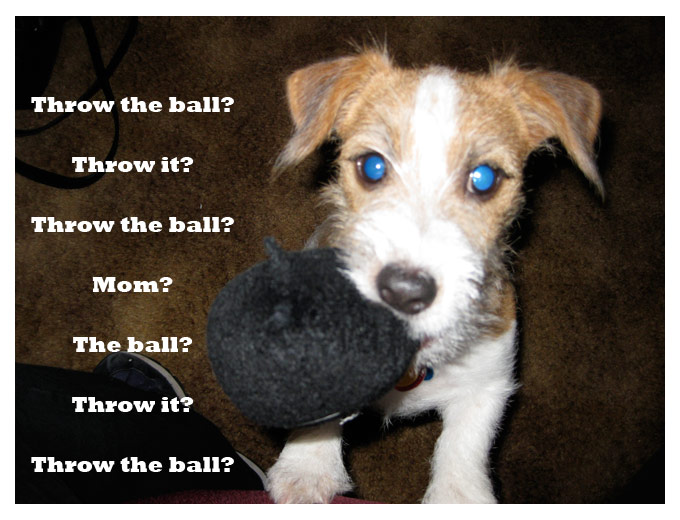 Ball?